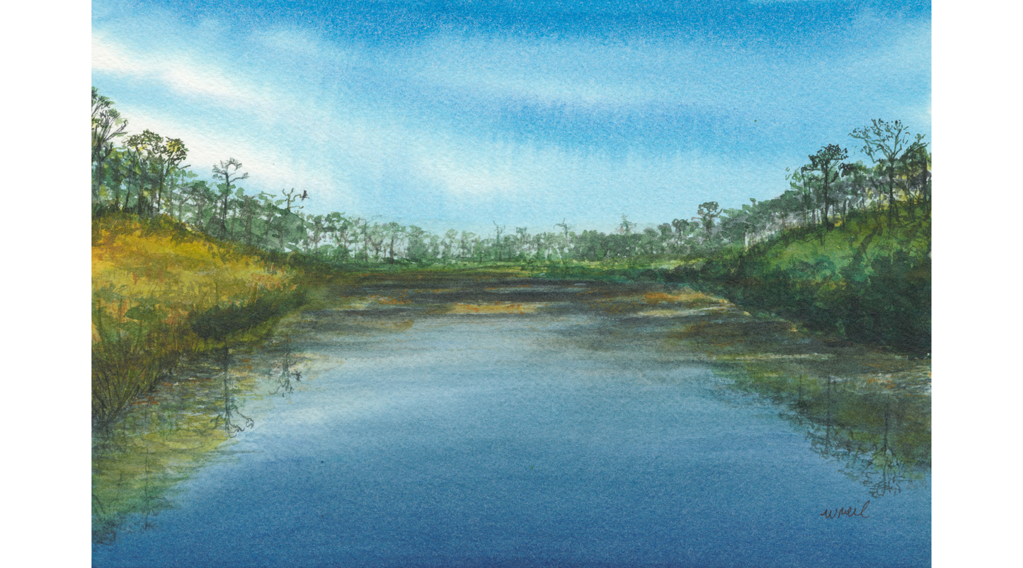 Where the Osprey Waits- Postcard
