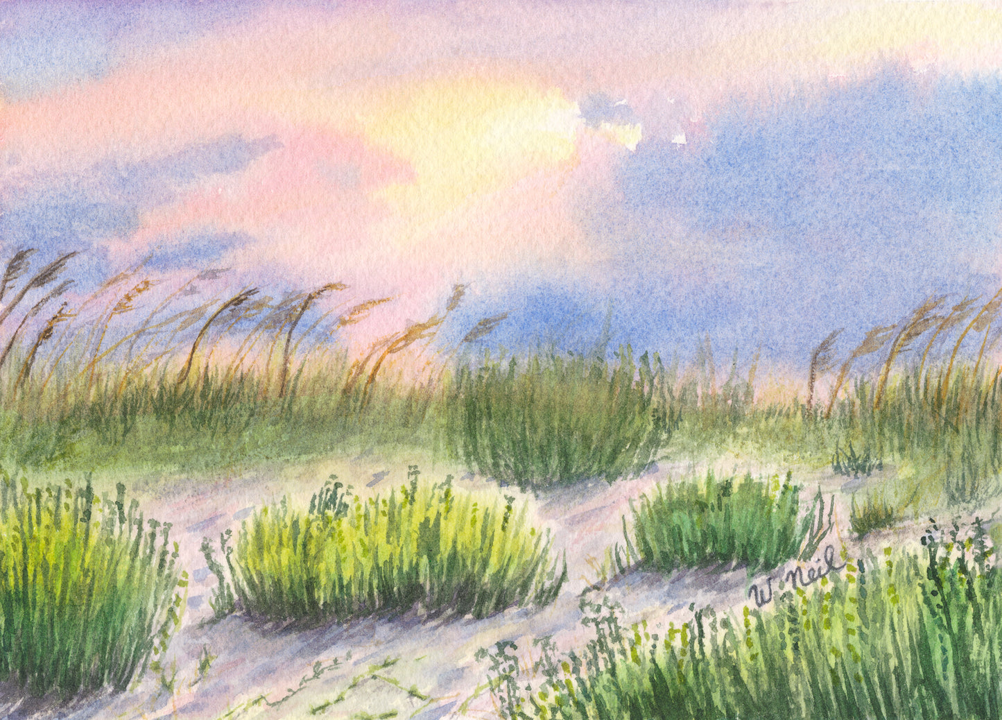 Pastel Dunes No. 1 - Postcard